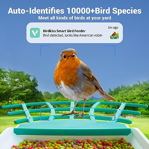 Smart Bird Feeder with Camera - AI Identifies Bird Species, Bird Feeder Camera with Solar Panel, Auto Captures Bird Videos & App Notifications, Includes 32GB SD Card - Image 4