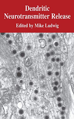 Dendritic Neurotransmitter Release view 2