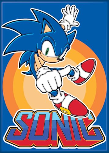 Imán Sonic The Hedgehog 2.5 x 3.5 Pulgadas miniatura 1