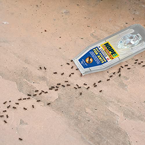 NOPE! Ant Killer Bait Station (6 x 5g) Indoor & Outdoor Ant Traps. Eradicates Ants and their Colony & Nest - Image 5