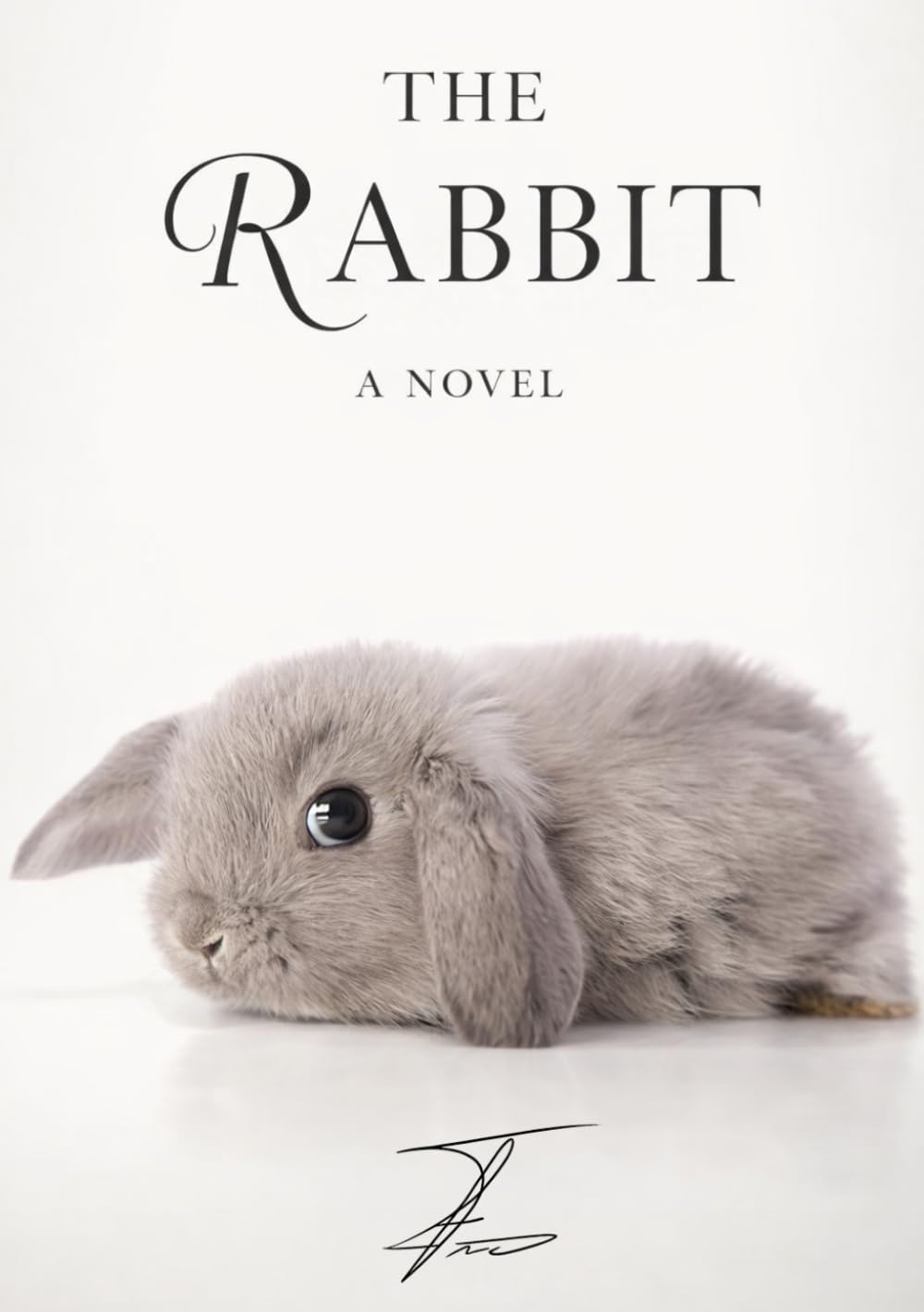 The Rabbit: The Bunny Book – 100 Pages of Fun | The Perfect Gift for Bunny Lovers | A Special Book for Your Bunny