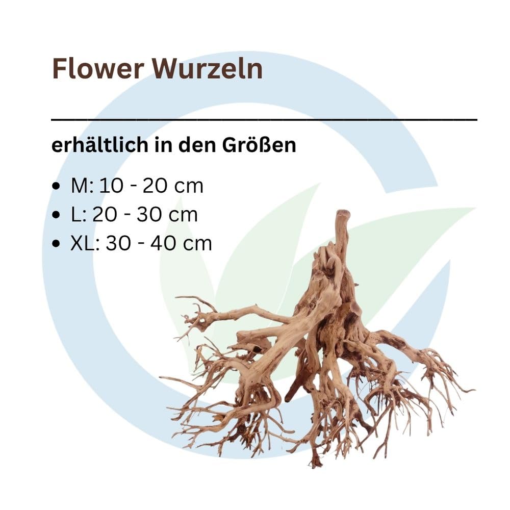 AquaOne Aquarium Wurzel Deko Flowerwurzel XL 1 Stück Wurzel Holz Deko Aquascaping Bonsaibaum Dekoration Landschaft Moos Echtholz Natur