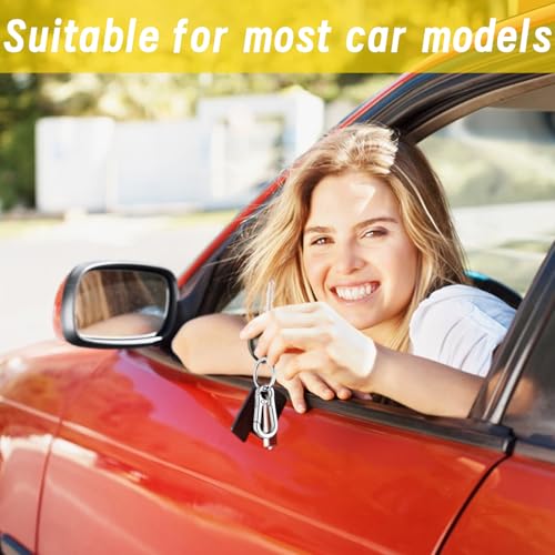 6 Karabiner Schlüsselringe, Karabinerhaken Klein aus Metall für Schlüssel, Outdoor und DIY, Zinklegierung und Edelstahl, 22 mm x 45 mm x 5 mm