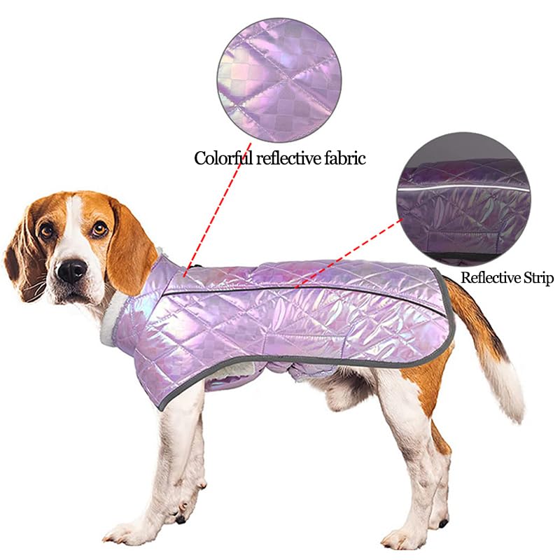 Manteau d'hiver Épais pour Gros Chien,Veste Imperméable pour Animaux De Compagnie,Tenues Réfléchissantes pour Chiens De Taille Moyenne Et Grande,Costume pour Bouledogue du Labrador,Un,2X