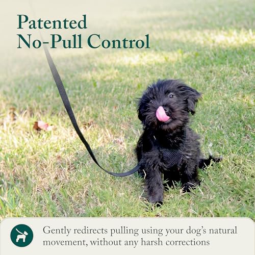 Sporn No Pull Dog Harness, Durable Nylon Mesh Harness for Small Dogs, No Choke Design, Padded Restraint Sleeves, Adjustable Fit, Easy On/Off, XS for Extra Small Breeds, Black - Image 7