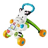  Fisher-Price Interaktywny Chodzik Zebra DPL53 - Juego de mesa