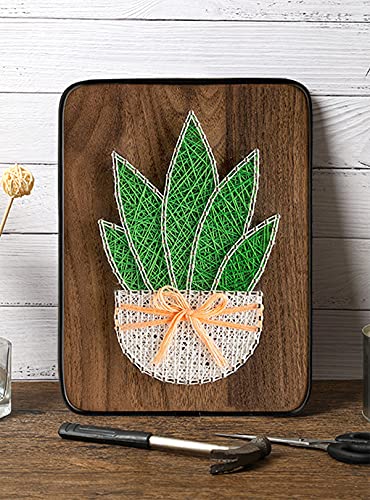 Image of BAZIMA DIY String Art Kit for Beginner,DIY Aloe Potted Craft Kit,Unique Gift,Craft Kit for Holidays