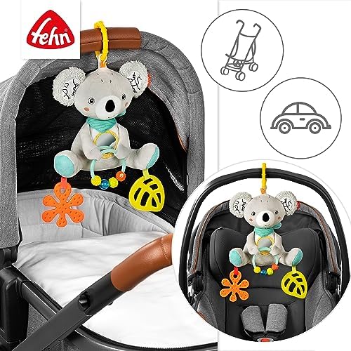 Activity Koala