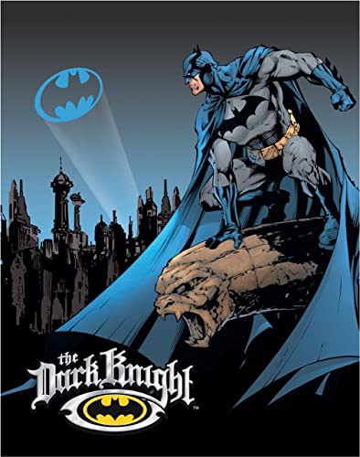 Desperate Enterprises Batman The Dark Knight Tin Sign - Nostalgic Vintage Metal Wall Decor - Made in USA