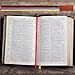10Pcs Bible Ribbon Bookmark Multi Ribbon Page Marker Bulk Artificial Leather Book Markers,Colorful Ribbon (10)