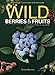 Wild Berries & Fruits Field Guide of Minnesota, Wisconsin and Michigan (Wild Berries & Fruits Identification Guides)