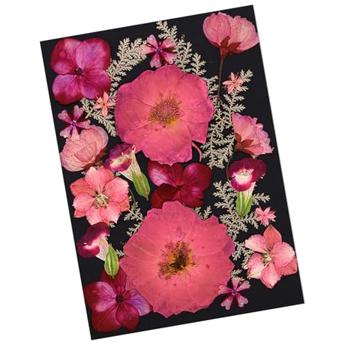 Flores Secas Naturales Prensadas para Resina Epoxi Set miniatura 3