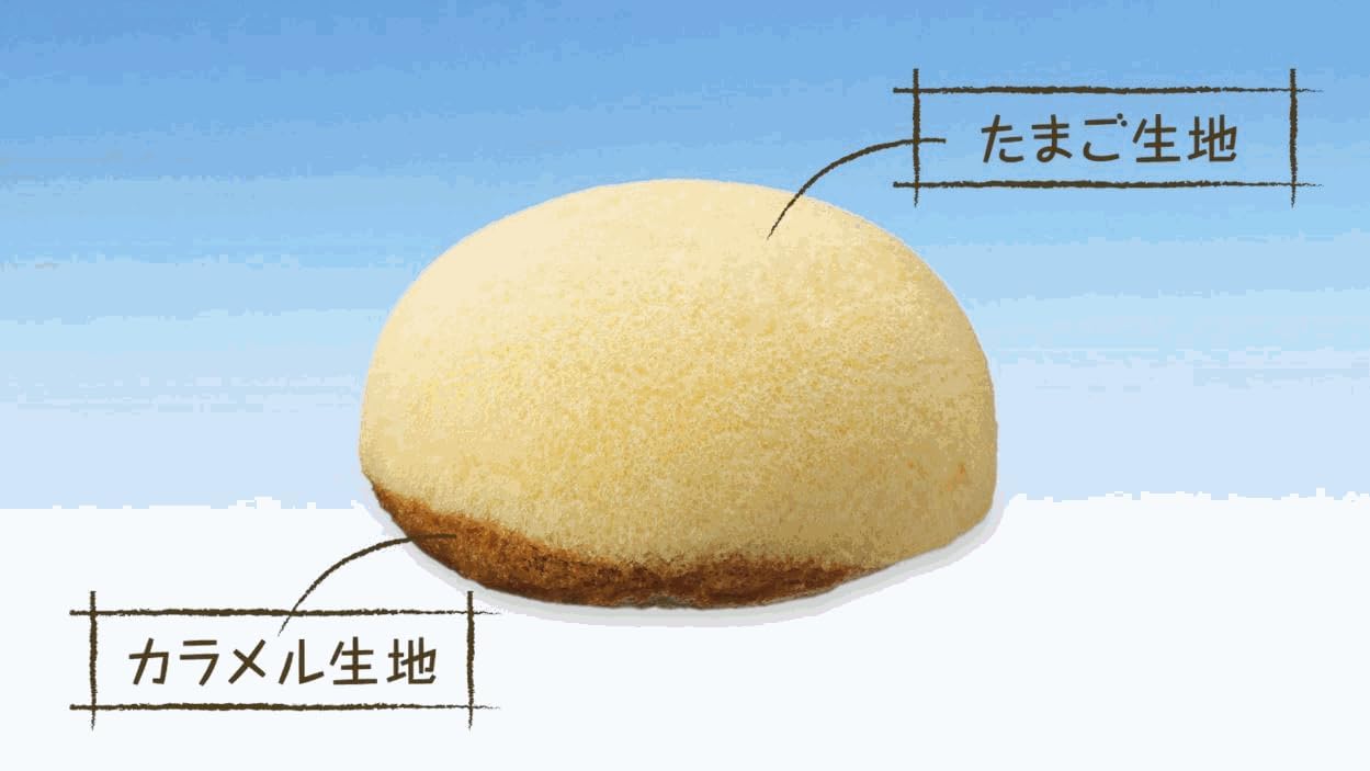 【静岡富士山みやげ】 富士の白雪カスタード 10個入り X ２箱 富士の麓の銘菓 第26回全国菓子大博覧会名誉総裁賞受賞