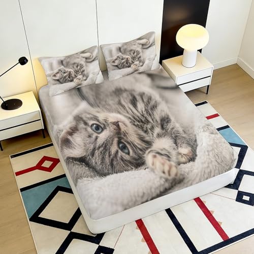 Drap housse chat 180x200x25cm en microfibre avec bonnet profond