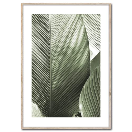 STYLER Bild Macro 50 x 70 cm mit Holzrahmen – Modernes Pflanzenblatt Wandbild – Minimalistische Natur Fotokunst in Grün – Stilvolle Wanddeko