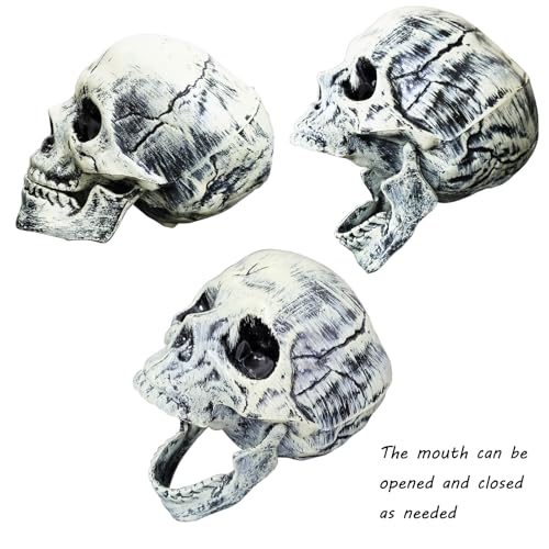 Young Wolf Halloween Realistic Skeleton Stakes for Grass Lawn Stakes Garden Decor Skeleton Decoration (3 Pieces) - Image 3