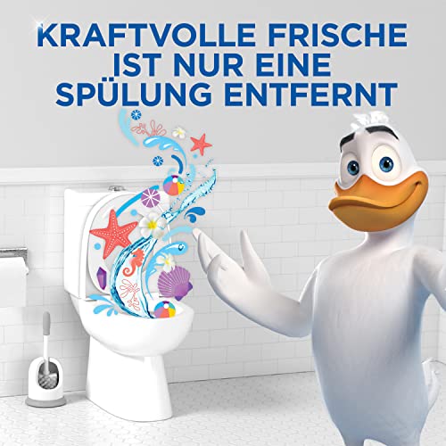 Spülkasten Entkalker WC Ente Blue Bloc Intank WC-Tabs