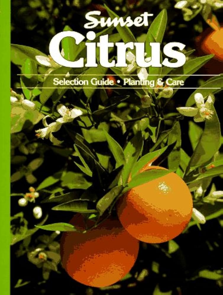 Citrus: Sunset: 9780376031044: Amazon.com: Books