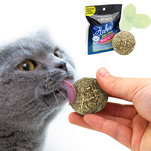 Jouet chat plume et herbe à chat pour moments de complicité - 3