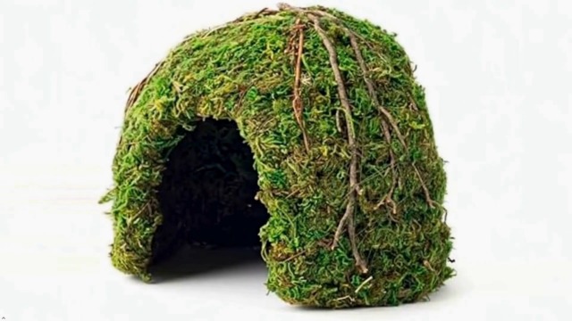 Galapagos (05366 Mossy Dome Hide, 6 in, Gal&aacute;pagos Green - image 6