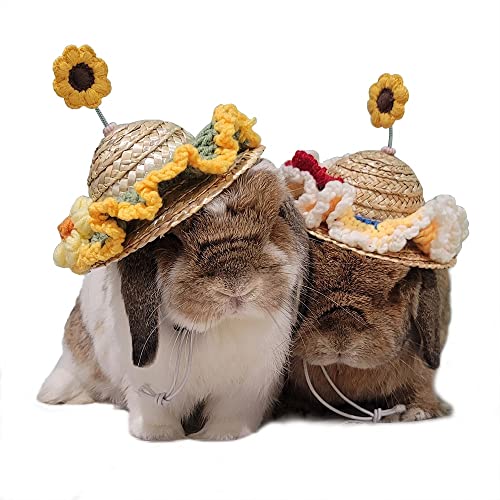 Chapeau de paille pour chien accessoire chat chiot - 2