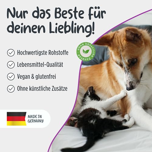 Pets Protect 100% reines TAURIN-Pulver für Katzen & Hunde 150 g | Gesunderhaltung Netzhaut & Organfunktion | Immunsystem & Stoffwechsel | Stärkung von Herzkreislaufsystem | Deutsche Herstellung