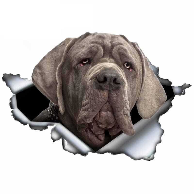 Autocollant 3D Dogue De Bordeaux Chien - Décalque Voiture Métal Déchiré 13x10cm