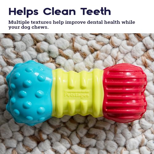 Petstages Multi-Squeak Bone Dog Chew Toy, Multicolor - Thumbnail 3