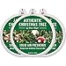 Citrus Magic Holiday Edition Odor Absorbing Solid Air Freshener, 8-Ounce, Authentic Christmas Tree, 3-Pack