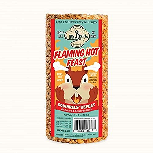 Mr. Bird Flaming Hot Feast Small Cylinder 19 oz.