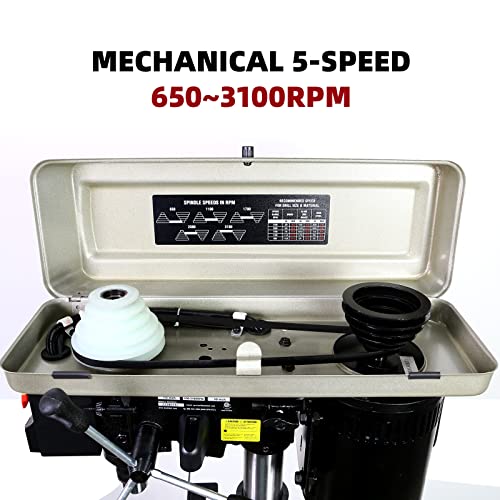 Bucktool 10-Inch Benchtop Drill Press