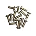 Harbor Breeze 15-Pack Brass Fan Blade Screws