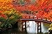 GAGALAM Puzzle 1000 Pieces Adults Kyoto, Japan DIY Unique Gifts