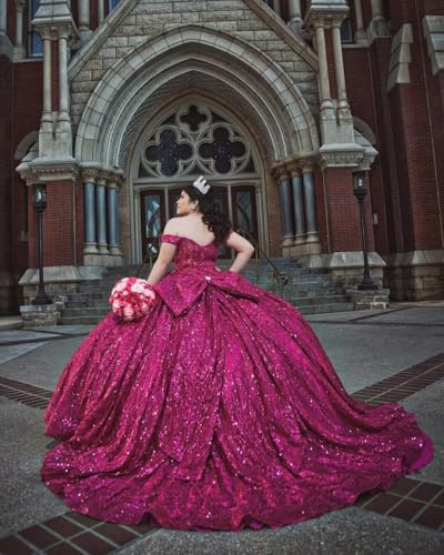 Sparkly Tulle Quinceanera Dresses Glitter Beaded Off Shoulder Sweet 16 Dresses Pleated Vestidos De 15 with Bow3