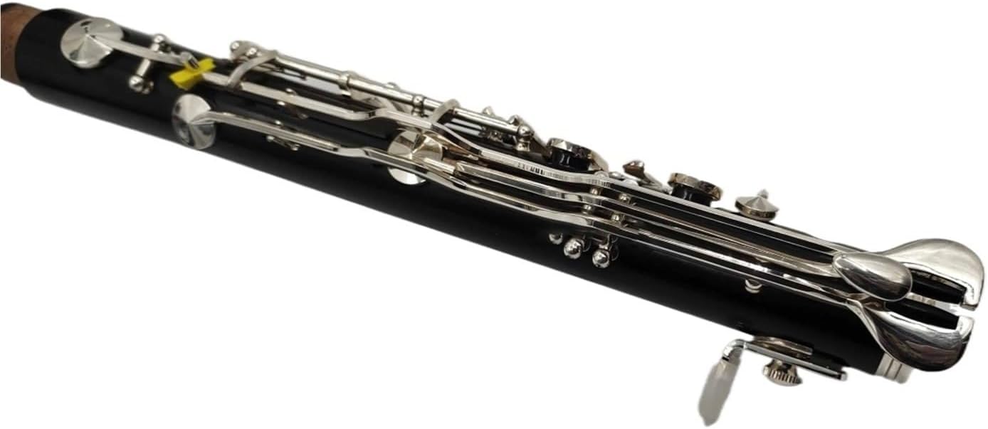 G Tune Clarinet 18 Keys Ebony Wood Nickel Plated Professional Musical Instrument With Case