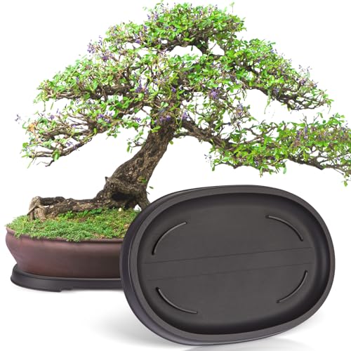 Pinkunn 2 Pack Bonsai Humidity Tray Drip Tray Plastic Plant Water Catcher Plant Saucers for Indoors...