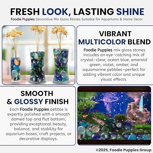 Image of Foodie Puppies Flat Glass Clear Stone for Aquariums, Fireplace, Firepit Glass for Indoor and Outdoor, Vase Filler, Hydroponics Plants, Home Decor and DIY Craft (800gm, Mix) (Glass Stone)