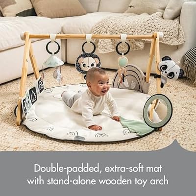 Tiny Love Luxe Developmental Gymini Black & White Decor Collection, Black