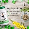 Christopher's Original Formulas Lung & Bronchial Formula - Lung Cleanse for Smokers - Supports Respiratory System with Synergistic Blend of Herbs