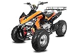  Nitro Motors AKP Carbon 150cc Quad 10\