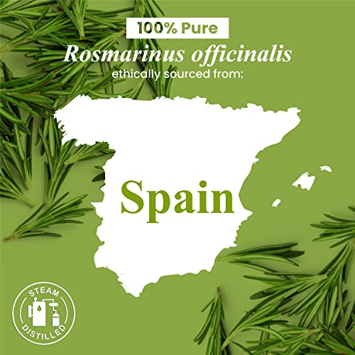 Handcraft Rosemary Essential Oil - 100% Pure And Natural - Premium Therapeutic Essential Oil For Diffuser And Aromatherapy - 0.33 Fl Oz #TOP3