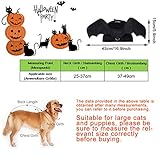 Zoom IMG-1 ali di pipistrello cane halloween