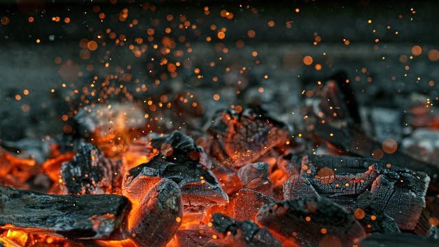 Image of Natural Wood Charcoal Cooking Coal for Smoking Food Barbeque-Grilling-Cooking-Broiling-Long Burning Coal for Home,Kitchen & Garden (kg) (Charchol-500)