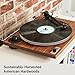 U-Turn Audio - Orbit Special Turntable (Gen 2) with Built-in Preamp, Walnut