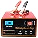 10A Ladegerät Autobatterie, 12V/24V KFZ Batterieladegerät Erhaltungsladegerät Geeignet für die meisten Arten von 2AH-150AH Blei-Säure-Batterien