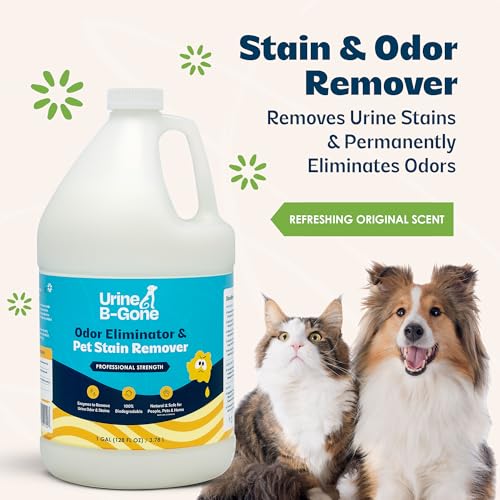 Image of Urine B-Gone, Professional Enzyme Odor Eliminator & Pet Stain Remover, Human, Cat & Dog Urine Cleaner, Effective on Laundry, Carpets & More, Original Scent, 1 Gallon (Pack of 2)