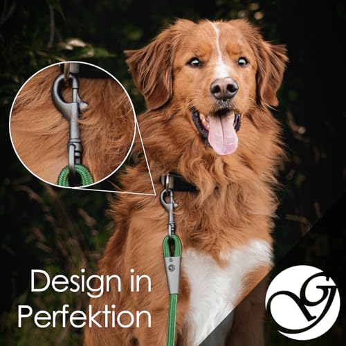 Ganzoo Karabiner-Haken mit Drehgelenk für Hunde-Leine, Wirbelkarabiner aus legiertem Stahl, Silber, 68 mm Länge, 16 mm Öse, 2er Set für Paracord 550, Gurtband, DIY, Schlüsselanhänger