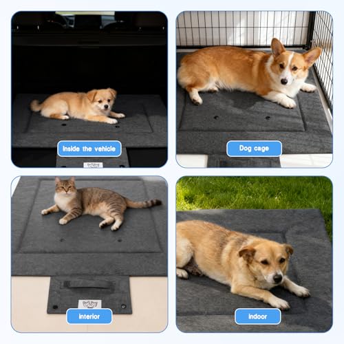 Couverture pour chien imperméable et lavable pour coffre et voyage