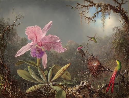 Tableau Toile Orchidée Cattleya colibris Johnson Heade décoration murale 60x90