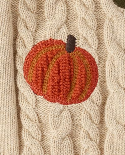 Image of Gymboree Boys' and Toddler Long Sleeve Embroidered Crew Neck Pullover Sweater